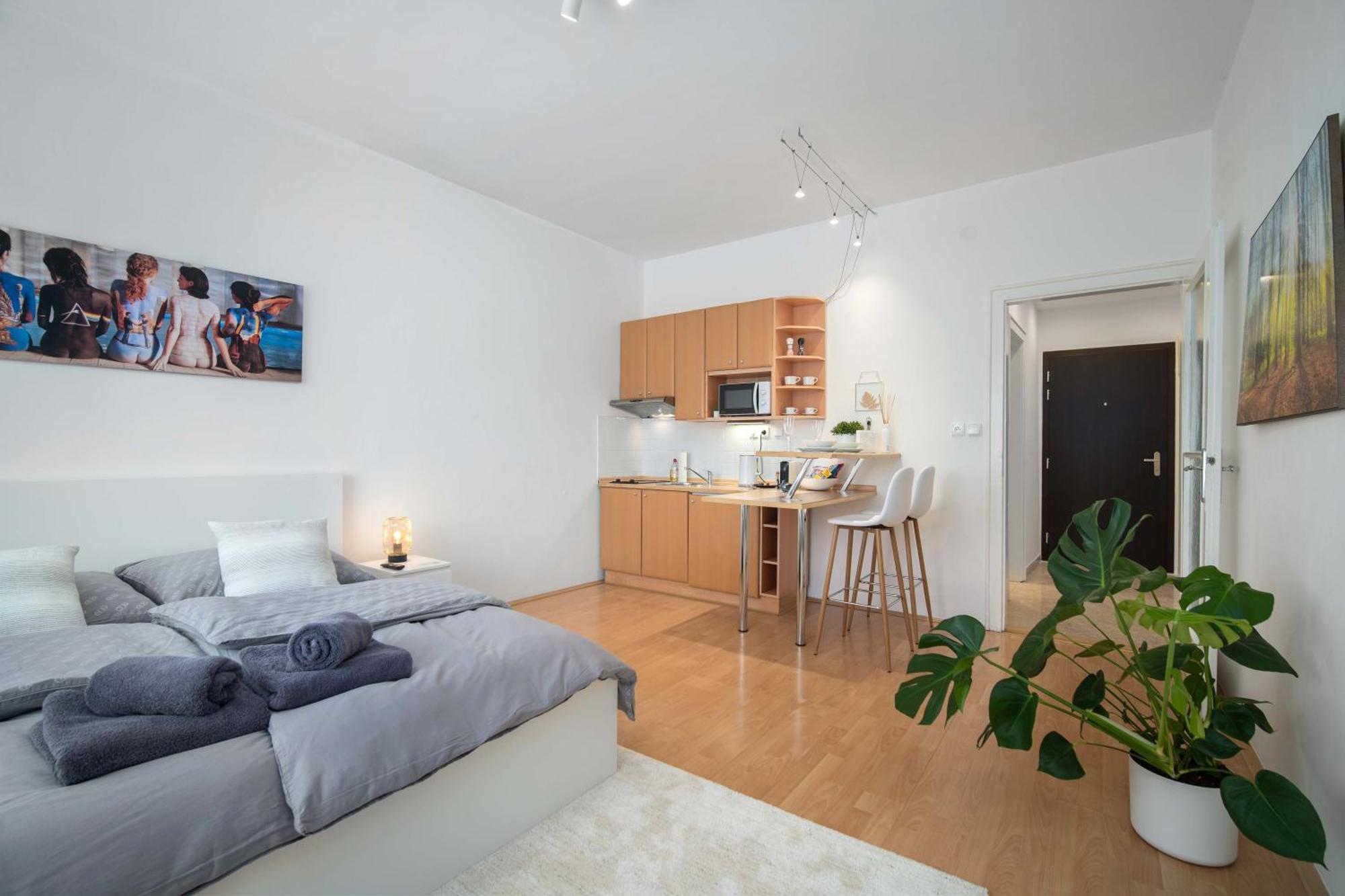 Best Location Apartment Air-Conditioned Братислава Екстер'єр фото