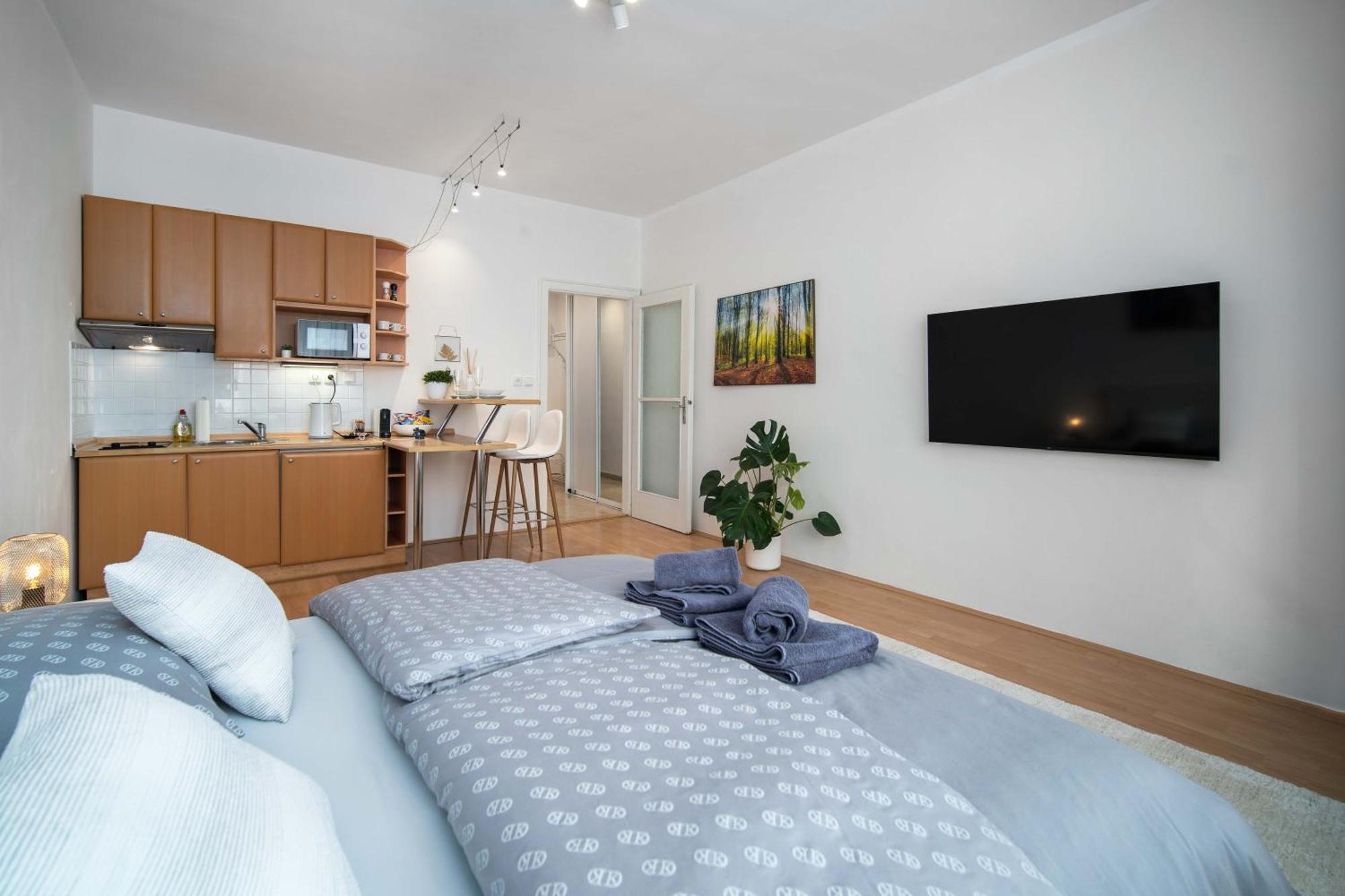 Best Location Apartment Air-Conditioned Братислава Екстер'єр фото